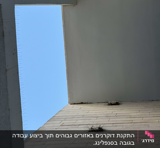 קיר עם דוקרנים נגד יונים בשטח פתוח